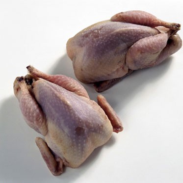 Očistené prepelice na kouzum- 7,50 eur\kg